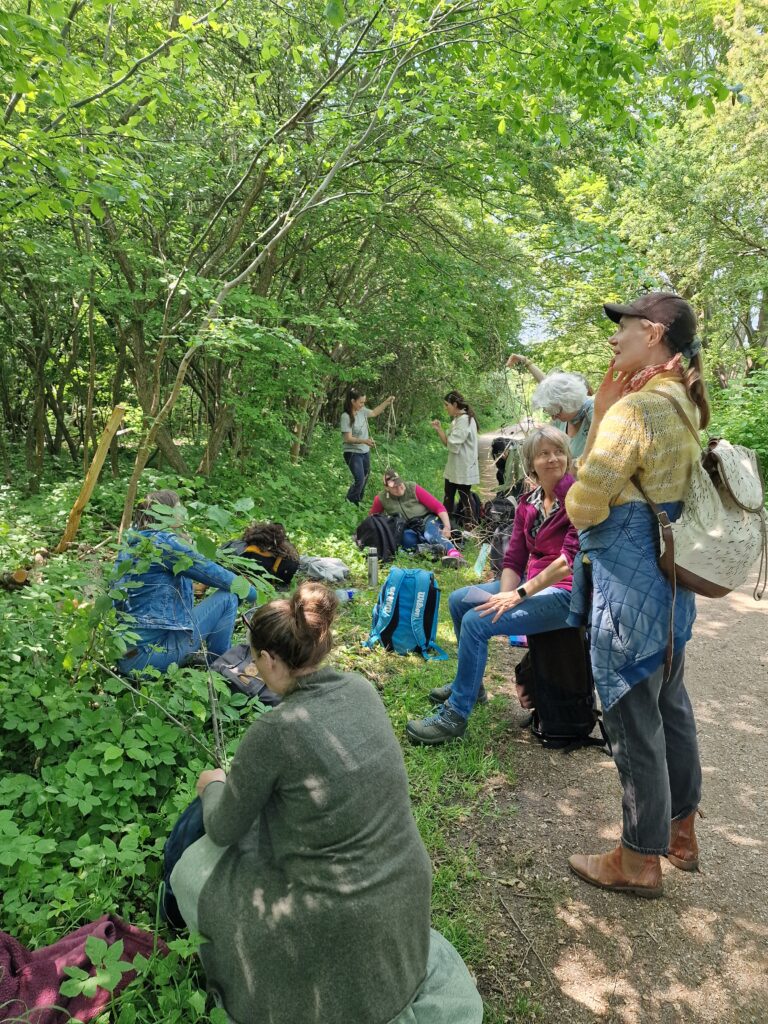 Naturweekend med Urterne Kalder hold kigger på skov-elm