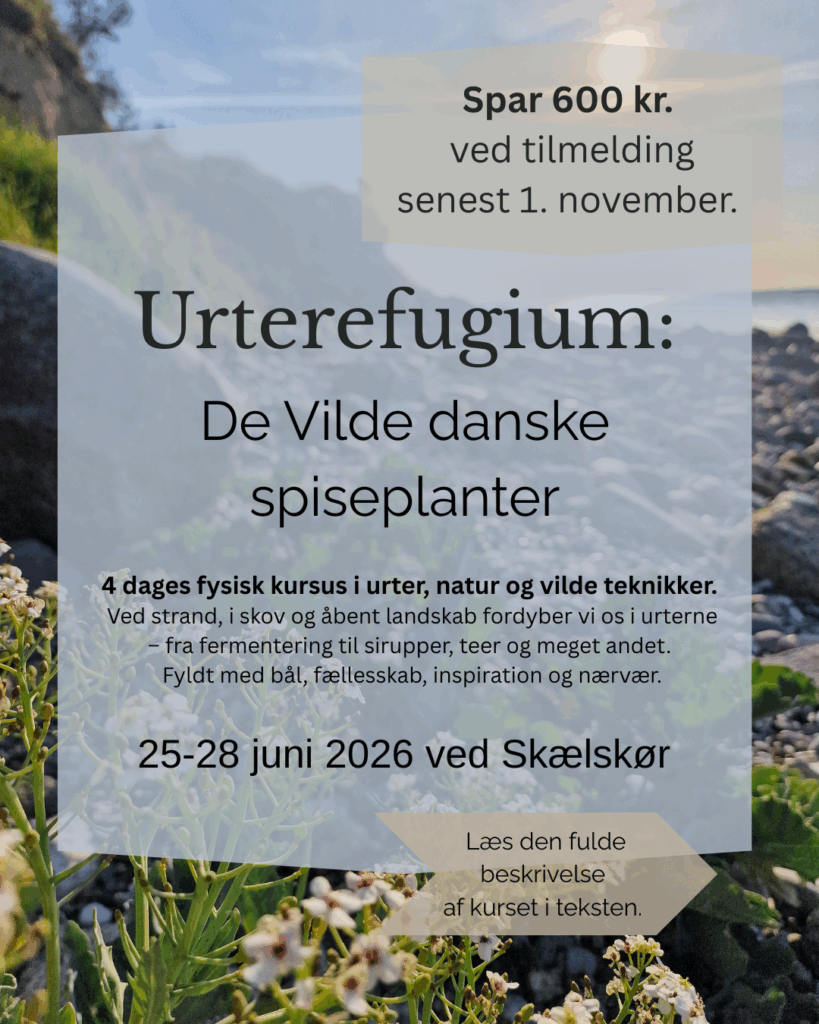 de vilde danske spiseplanter